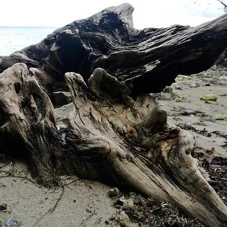 Seaside Bliss In Hejlsminde - By Traum Сasa de vacaciones Hejls