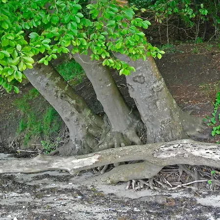 Seaside Bliss In Hejlsminde - By Traum Дом отдыха