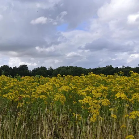 Дом отдыха Seaside Bliss In Hejlsminde - By Traum *